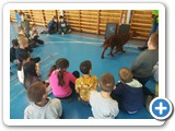 IMG_20230403_110843