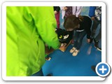 IMG_20230403_111007