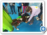 IMG_20230403_111013