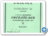 2006.03.04.